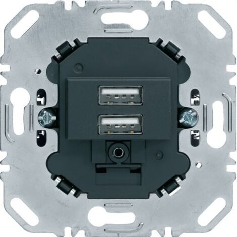Cargador Usb doble Berker by Hager 260205 color Negro