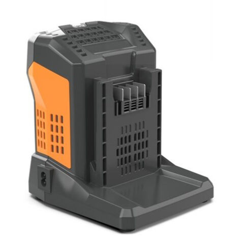 CARICABATTERIA CARICATORE RAPIDO ALIMENTATORE BATTERIA 5,5Ah 60V VALGARDEN