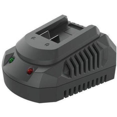 CARICABATTERIA GP20V 629302 WOKIN - VOLT 20 AH 2,0 HR 1 - 1 pezzo