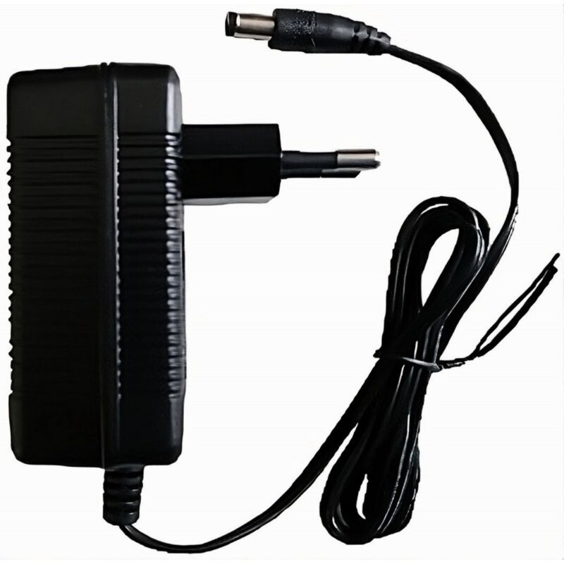 Caricabatteria Per Pompe A Zaino E Forbici A Batteria 18 W - 1 Ah