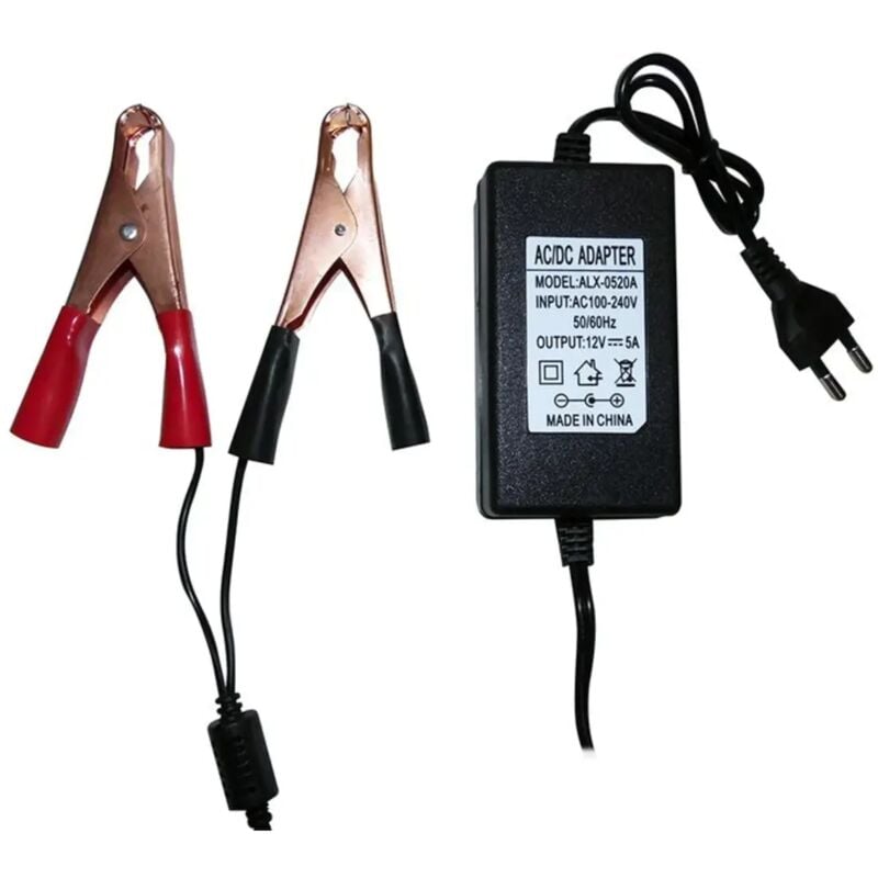 Caricabatterie 12V 5A per batterie al piombo