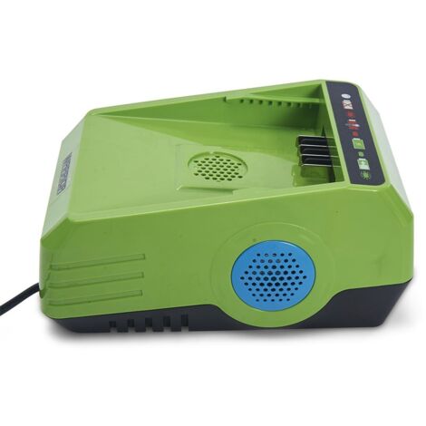 Caricabatterie agli ioni di litio da 2,5 Ah, 220 V, doppia ventola Warrior Eco Power