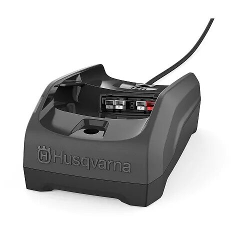 Caricabatterie Rapido WORX 20V - Ricarica Batterie Litio In 1 Ora - Compatibile Con Tutti Gli Attrezzi WORX PowerShare - Foto 6