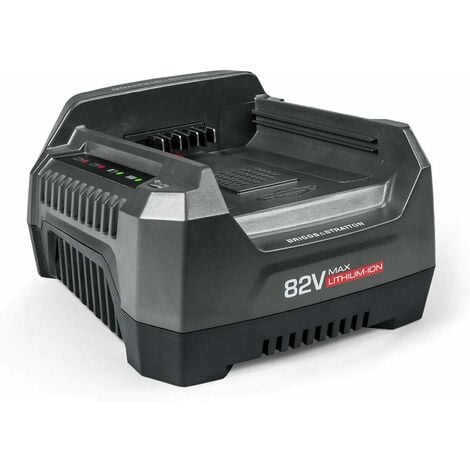 Caricabatterie ORIGINALE per tutte le batterie BRIGGS&STRATTON da 2 Ah 4 Ah 5 Ah