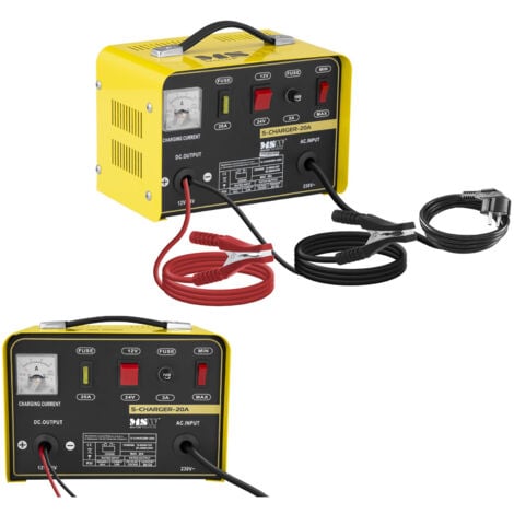 MSW Caricabatterie per auto 12/24V 12A