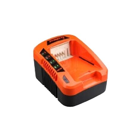 Caricabatterie rapido 40V AMA tempo ricarica batteria 30min (2Ah) 60min (4Ah)
