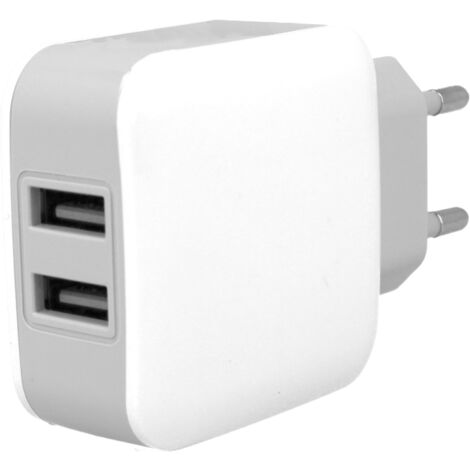 Caricatore 2 Porte USB 5V 2,1A Ricaricabatteria USB Ricarica Veloce