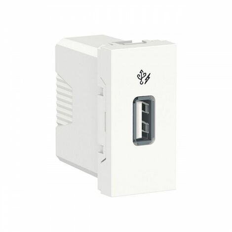 Caricatore semplice USB 1A 2 moduli polare SCHNEIDER NU342818