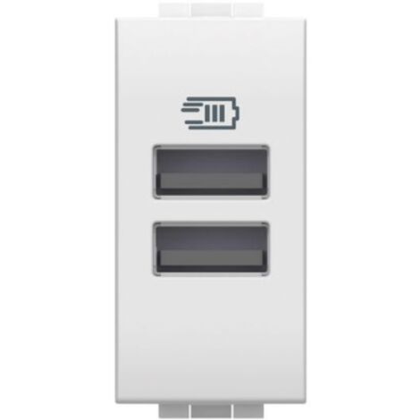 Caricatore usb con 2 prese usb a a 15 w 100-240 vac 1 modulo bticino n4191aa
