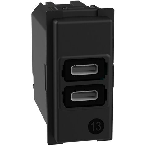 Caricatore USB con due porte tipo C - 15W BTICINO LIVING NOW k4191CC