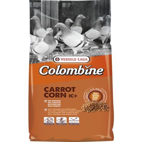 Carota colombina mais i.c. 10 kg