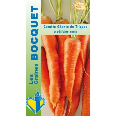 Carotte géante de Tilques 2g – Variété tardive rustique – Semis à partir du 1er mai – Récolte d'octobre à avril – Graines Bocquet