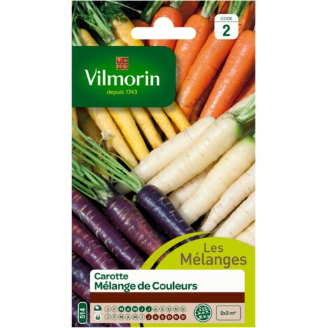 Carotte - Mélange de Couleurs Vilmorin