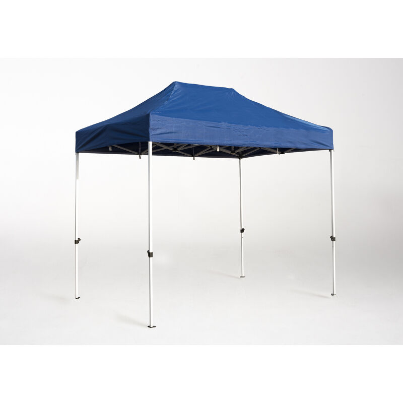 

Carpa Plegable para Eventos y Jardín 3x2 Master Azul