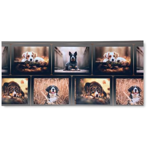 CARPET Runner Cuisine Runner Anti-dérapant DOG Chiens Made in Italy Cm. 50x120