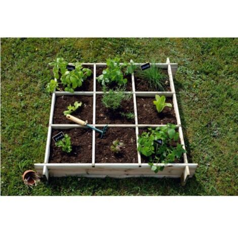Carre Potager Cardon100 Cl3