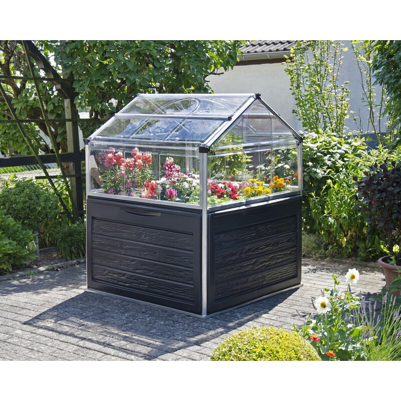 Palram-canopia - Canopia Mini-serre de jardin Plant-Inn 118 x 118 cm