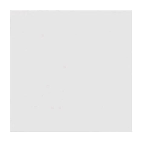 Carrelage blanc mat 31.6x31.6 ALASKA - 1m²