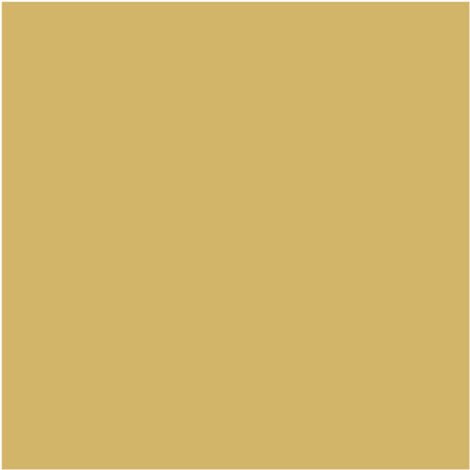 Carrelage grès cérame Basic 25x25 (11 couleurs) 25x25 cm Jaune - Mat - boîte de 1 m2 - Gioia Materia