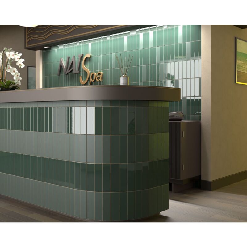 Equipe - Faïence - costa nova - costa nova laurel green - 5X20 - Mat