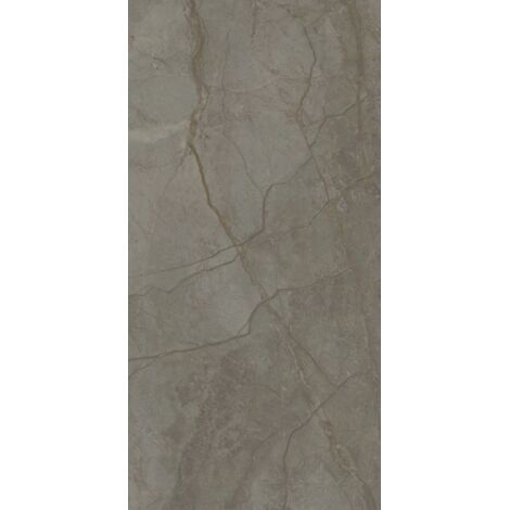 Carrelage sol/mur effet marbre gris beige SILVER RIVER DARK Mat int/ext l.60 x L.120 cm CERALUX