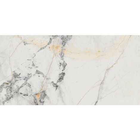 Carrelage sol / mur effet marbre gris mate 60x120 cm MARBLELOUS Erdek R