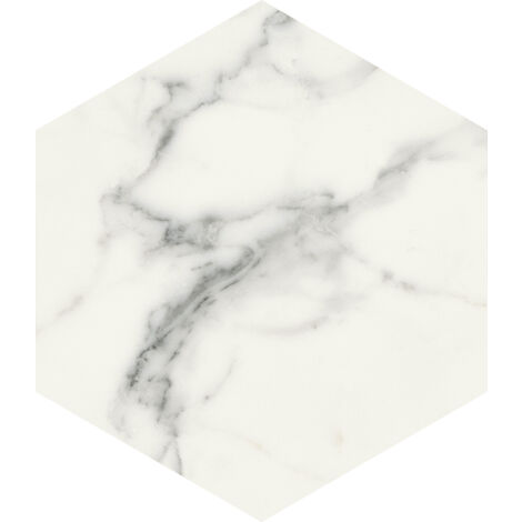 Carrelage sol / mur hexagonal effet marbre blanc mate 25x21,6 cmSCULTOREA statuario vena argento esagona J469  (vendu par boite de 1,17m2)