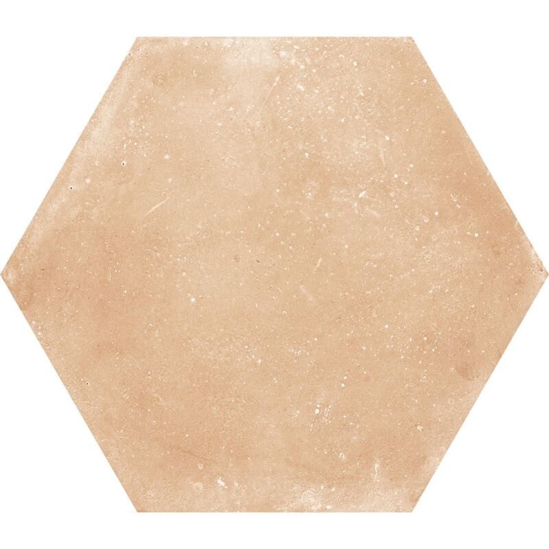 Tinker - Carrelage Terre cuite Aspdini beige 56x40 cm
