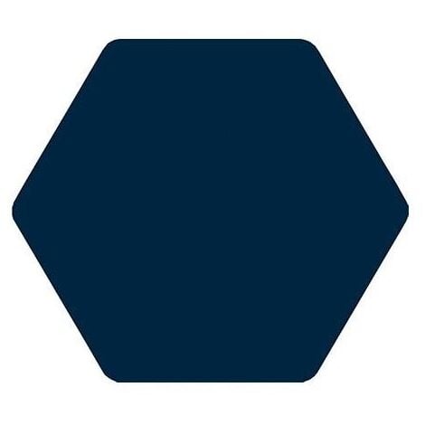 Carrelage tomette bleu marine 25x29cm TOSCANA MARINO - 1m²