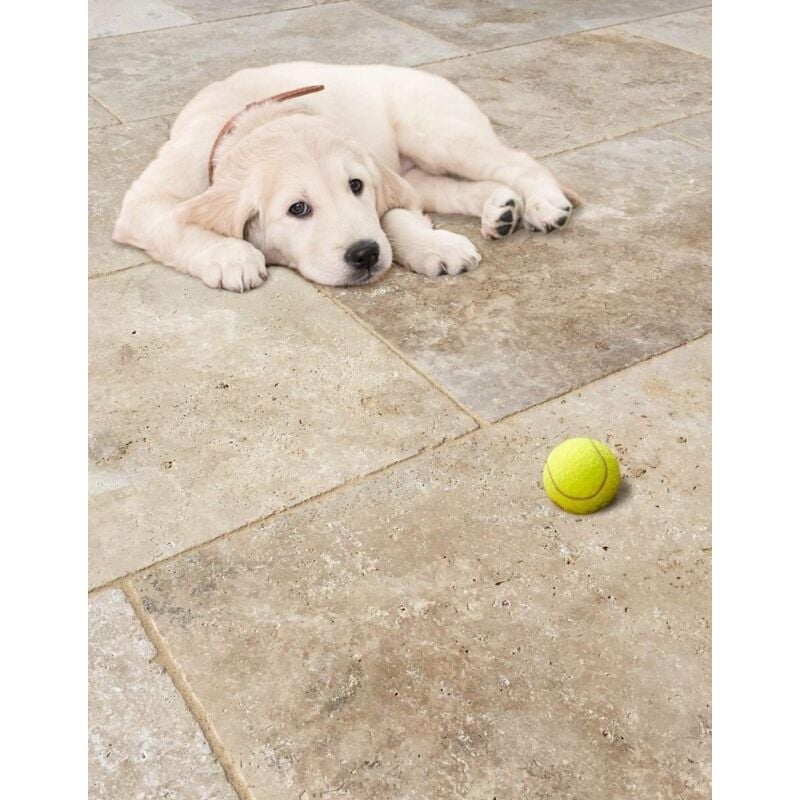 Stone By Stone - Carrelage Travertin 1er Choix - Mix Beige - 40,6x40,6x1,2cm - Vieilli - (1 m²)