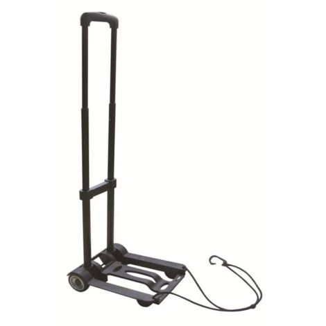 Carrello piegh 30kg - serena group