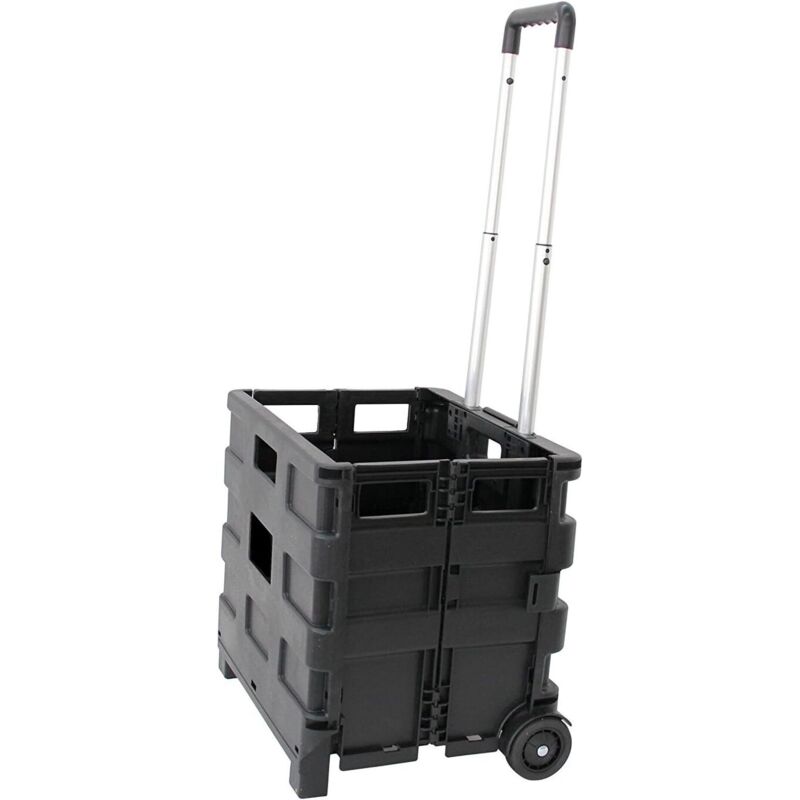 Carrello Pieghevole con Cassa Plastica Porta Spesa...