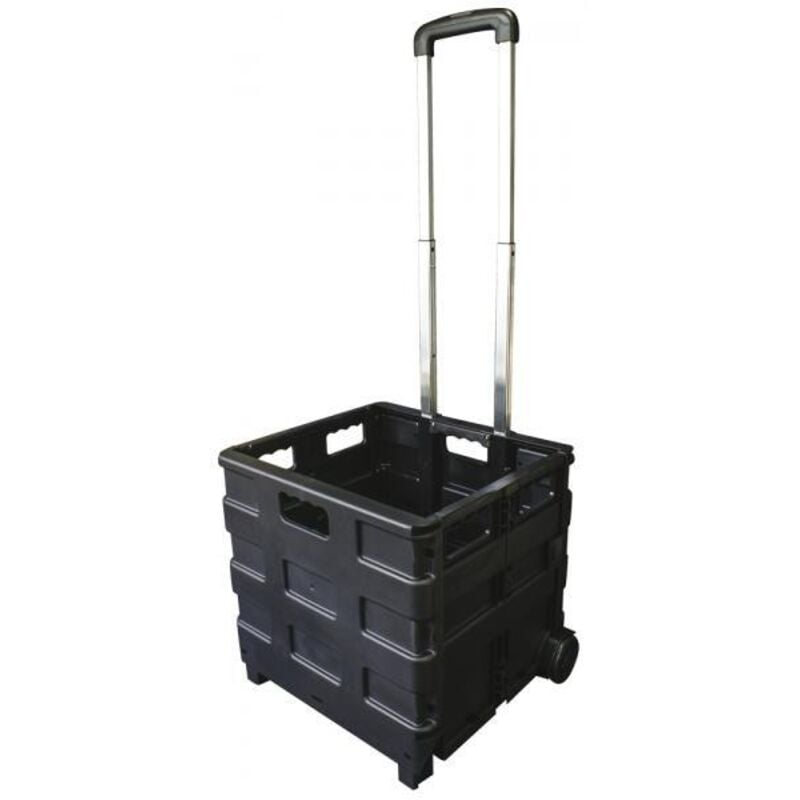 CORA 000120817 Carrello Portatile Pieghevole Trolly Carry