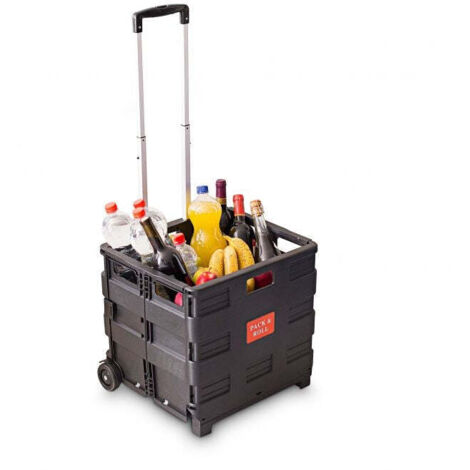 Carrello spesa pieghevole 883