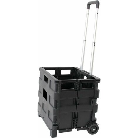 Carrello trasporto con cassa in plastica pieghevole portata max 25 kg