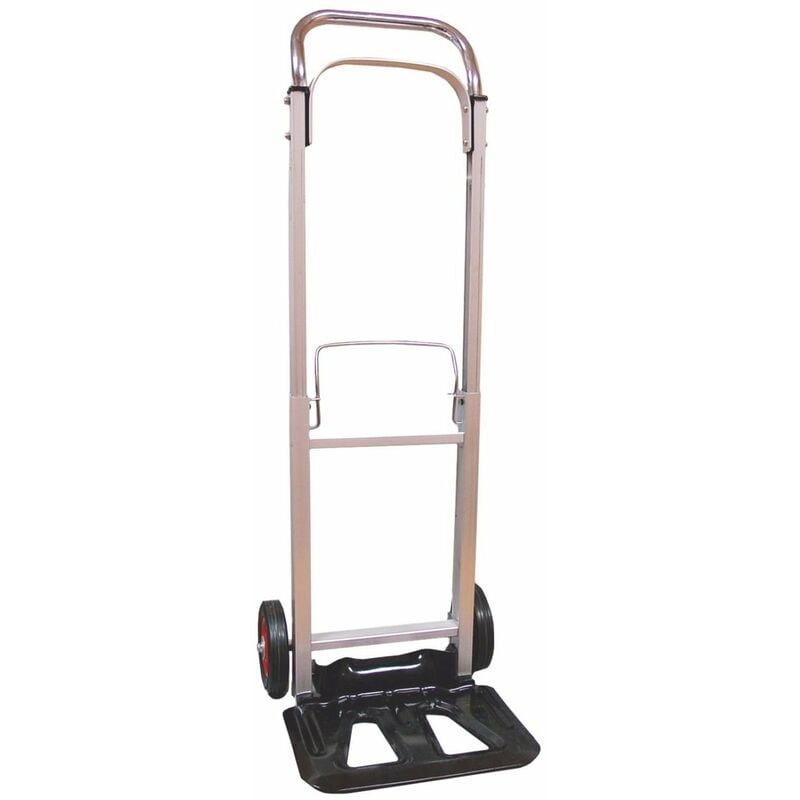 

Carro plegable 90 kg