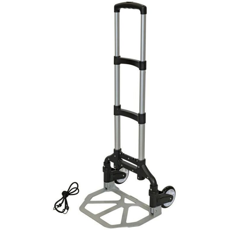 Carro portátil plegable con mango telescópico (capacidad de carga 130kg)