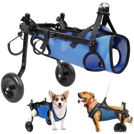 Carrozzina per cani a due ruote - con supporto per le zampe posteriori - Taglia M (adatta a cani di peso compreso tra 5 e 10 kg) - supporto regolabile per articolazioni e anche - adatta a cani affetti