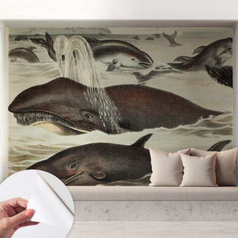 Carta da parati adesiva - fotomurale - facile da applicare - per la soggiorno - camera da letto - Creature marine 208x146 cm