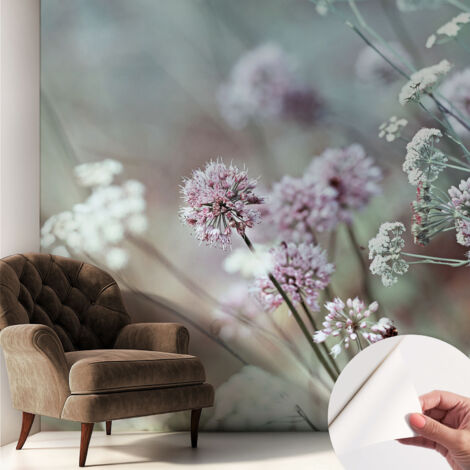 Carta da parati adesiva - fotomurale - facile da applicare - per la soggiorno - camera da letto - Fiori di campo 250x250 cm