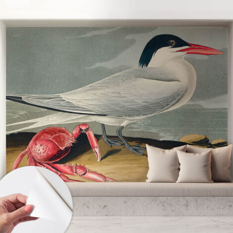 Carta da parati adesiva - fotomurale - facile da applicare - per la soggiorno - camera da letto - Scenario marino 208x146 cm