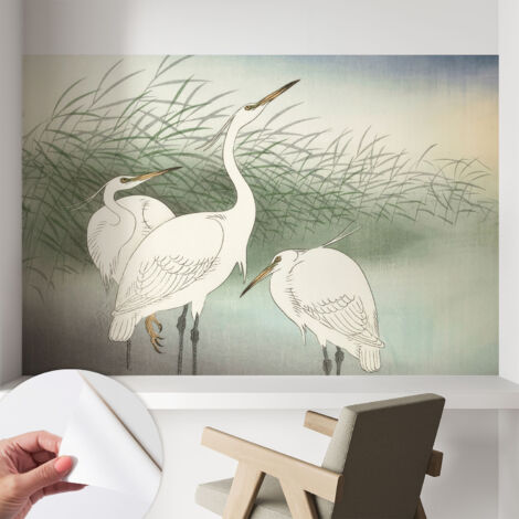 Carta da parati adesiva - lavabile - decorazione murale - per cucina - pellicola decorativa Aironi nell'erba 104x70 cm