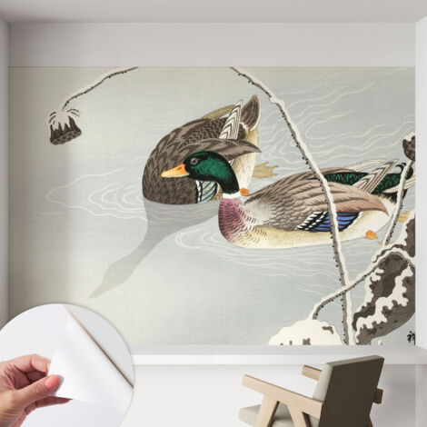 Carta da parati adesiva - lavabile - decorazione murale - per cucina - pellicola decorativa Anatre tranquille 152x104 cm
