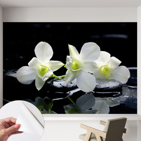 Carta da parati adesiva - lavabile - decorazione murale - per cucina - pellicola decorativa Fiori e pietre 152x104 cm