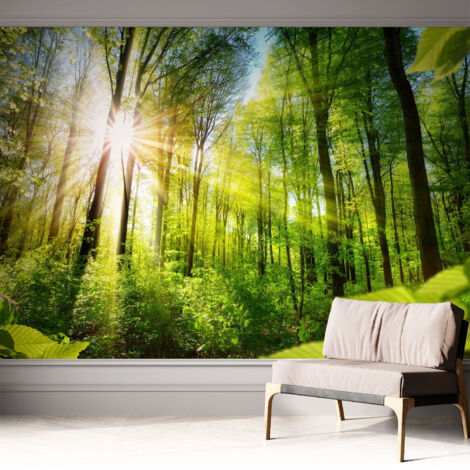 Carta da parati adesiva - lavabile - decorazione murale - per cucina - pellicola decorativa Luce del bosco 312x219 cm