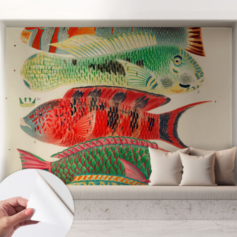 Carta da parati adesiva - lavabile - decorazione murale - per cucina - pellicola decorativa Pesci esotici 208x146 cm