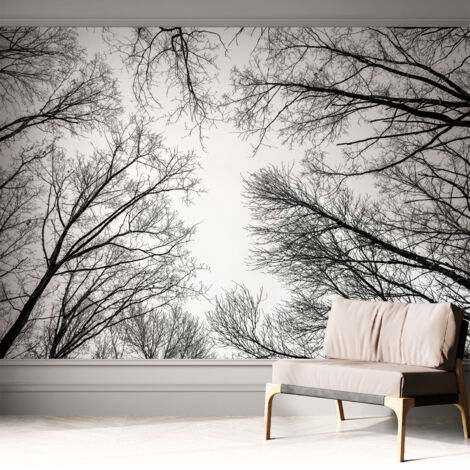 Carta da parati adesiva - lavabile - decorazione murale - per cucina - pellicola decorativa Rami spogli 312x219 cm