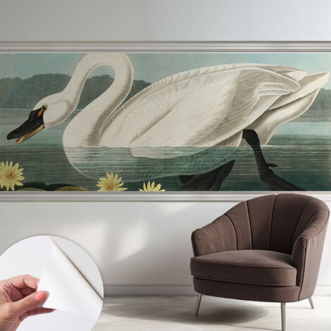 Carta da parati autoadesiva - Fotomurale adesivo - design elegante - stile moderno - Cigno e ninfee 250x104 cm
