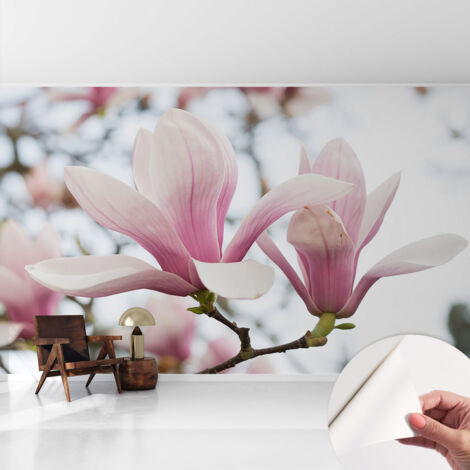 Carta da parati autoadesiva - Fotomurale adesivo - design elegante - stile moderno - Fiori di magnolia 416x254 cm
