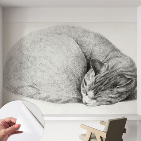 Carta da parati autoadesiva - Fotomurale adesivo - design elegante - stile moderno - Gatto raggomitolato 152x104 cm